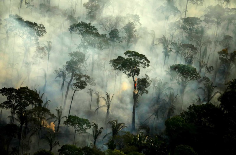 Khói bốc lên dữ dội từ một đám cháy lớn trong rừng Amazon ở Porto Velho, bang Rondonia, Brazil.