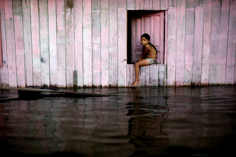 Một bé gái ngồi trên cửa sổ nhìn ra đường phố ngập lụt sau khi sông Solimões - một trong 2 nhánh của sông Amazon tại Anama, bang Amazonas, Brazil dâng cao.