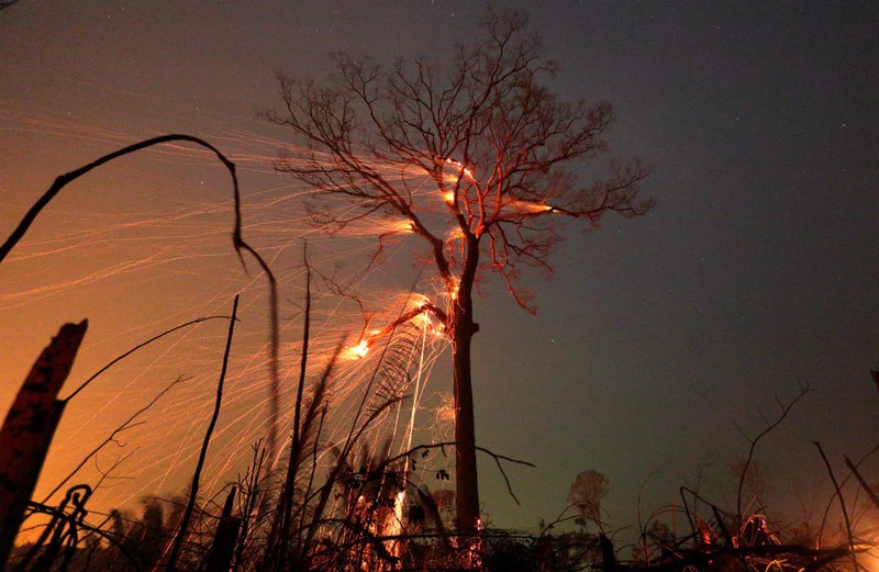 Cháy rừng ở Amazon nhanh chóng vượt tầm kiểm soát và lan rộng do gió lớn ở Brazil./.